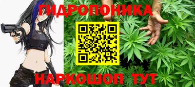 эйфоретик Новодвинск