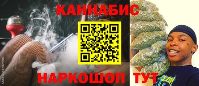 гашик Новозыбков