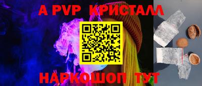 гашик Новозыбков