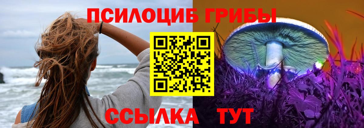 Галлюциногенные грибы мухоморы  Псилоцибиновые грибы мицелий  Вход с VPN  Тихорецк 