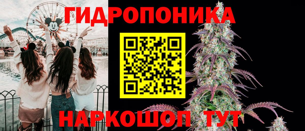 Тихорецк  Конопля индика  Бошки марихуана Bruce Banner  Марихуана план  Вход с VPN 
